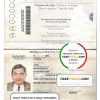 Brazil passport template in PSD format, fully editable, version 2 (background color changed) scan effect