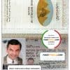 Egypt passport template in PSD format, fully editable