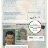France passport template in PSD format, fully editable