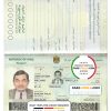 Iraq passport template in PSD format