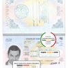 Libya passport template in PSD format, fully editable