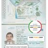 New Zealand passport template in PSD format, fully editable (2005 – present)