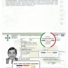 Portugal passport template in PSD format