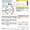 Argentina Edenor easy to fill utility bill template in Word (.doc) and PDF (.pdf) format scan effect