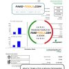 Australia Momentum Energy utility bill template in Word and PDF format scan effect