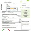 Australia Tru Energy electricity utility bill template in Word and PDF format