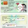 Belgium ID template in PSD format