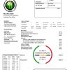 Belize Electricity Limited electricity utility bill template in Word and PDF format
