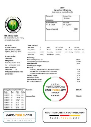 Belize Electricity Limited electricity utility bill template in Word and PDF format