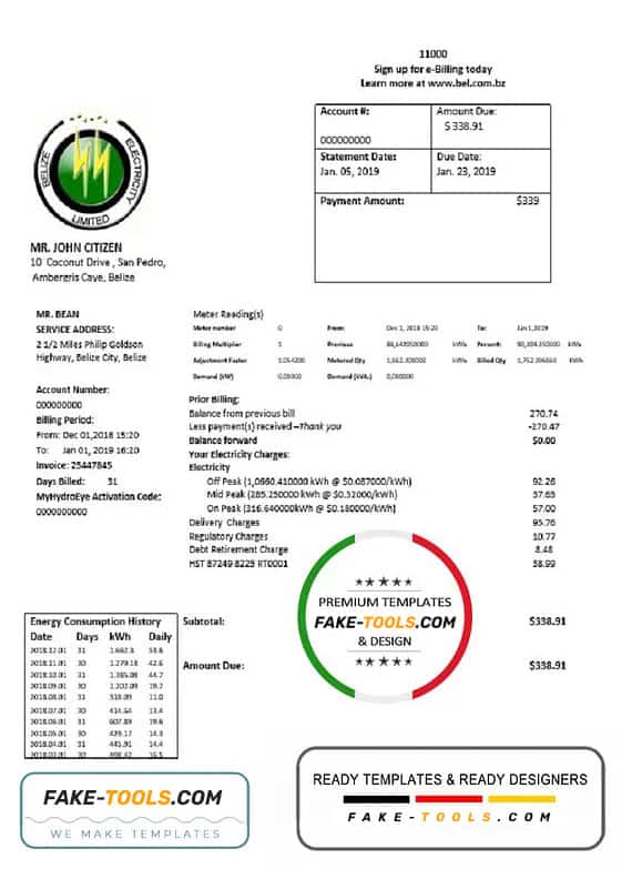 Belize Electricity Limited electricity utility bill template in Word and PDF format Belize Electricity Limited electricity utility bill template in Word and PDF format