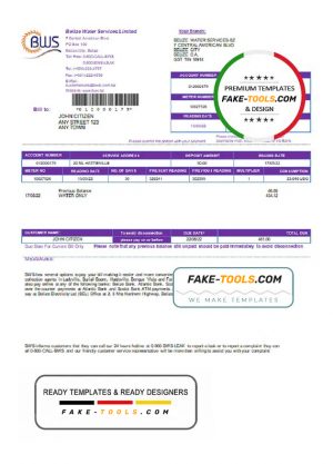 Belize Water Services Limited utility bill template in Word and PDF format