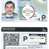 Bolivia driving license template in PSD format, fully editable (2017 - present) scan effect