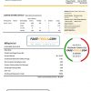 Bolivia ENDE Corporacion electricity utility bill template in Word and PDF format