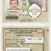 Bolivia ID card template in PSD format, fully editable scan effect