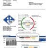 Bosnia and Herzegovina Elektroprivreda BiH electricity utility bill template in Word and PDF