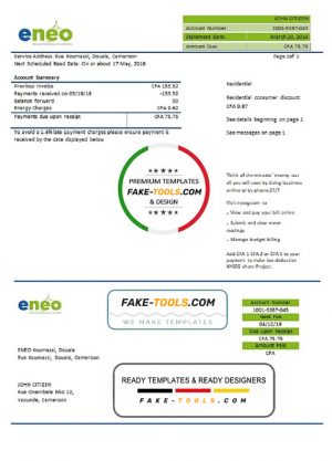 Cameroon ENEO electricity utility bill template in Word and PDF format