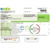 Cameroon ENEO electricity utility bill template in Word and PDF format (current version)