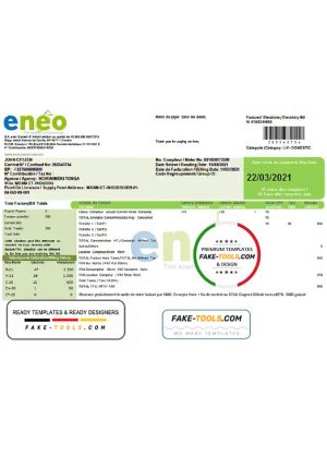 Cameroon ENEO electricity utility bill template in Word and PDF format (current version)