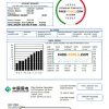China Guodian Corporation electricity utility bill template in Word and PDF format
