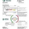China State Grid Corporation of China electricity utility bill template in Word and PDF format