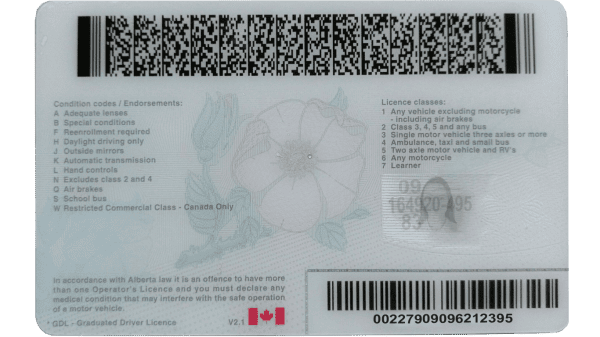 Canada Alberta driving license template in PSD format