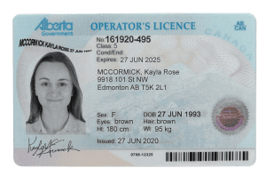 Canada Alberta driving license template in PSD format