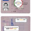 Denmark driving license template in PSD format, fully editable (1997 – 2013)