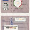 Denmark driving license template in PSD format, fully editable (1997 – 2013)