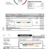 Denmark AURA Energi utility bill template in Word and PDF format