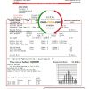 Denmark Primagaz Denmark gas utility bill template in Word and PDF format