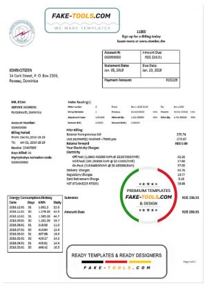 Dominica Electricity Services Limited electricity utility bill template in Word and PDF format
