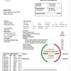 Dominica Electricity Services Limited electricity utility bill template in Word and PDF format