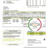 Ecuador Energysource Ecuador energy utility bill template in Word and PDF format