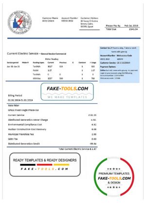 Egypt Egyptian Electricity utility bill template in Word and PDF format