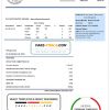 Egypt Egyptian Electricity utility bill template in Word and PDF format