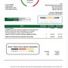 Ethiopia Ethiopian Electric Power Company electricity utility bill template in Word and PDF format