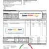 France Energies & Services Régie Municipal d’ Electricité Sarre-Union electricity utility bill template in Word and PDF format, fully editable