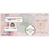 Guinea driving license template in PSD format, fully editable