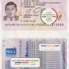 Ireland driving license template in PSD format, fully editable, with all fonts