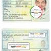 Jamaica driving license template in PSD format, fully editable