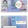 Lithuania (Litva) driving license template in PSD format, fully editable