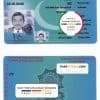 Pakistan City Traffic Police Lahore driver license template in PSD format, with all fonts, fully editable