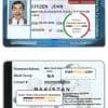 Pakistan driver license template in PSD format, with all fonts, fully editable