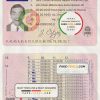 Portugal driving license template in PSD format, with all fonts, fully editable