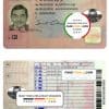 Romania driving license template in PSD format