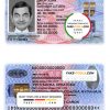 Serbia ID template in PDS format, fully editable, with all fonts scan effect