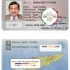 Timor-Leste driving license template in PSD format, fully editable