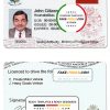 Tonga driving license template in PSD format, fully editable