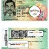 USA Georgia driving license template in PSD format (2019 – present)