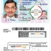USA Illinois driving license template in PSD format